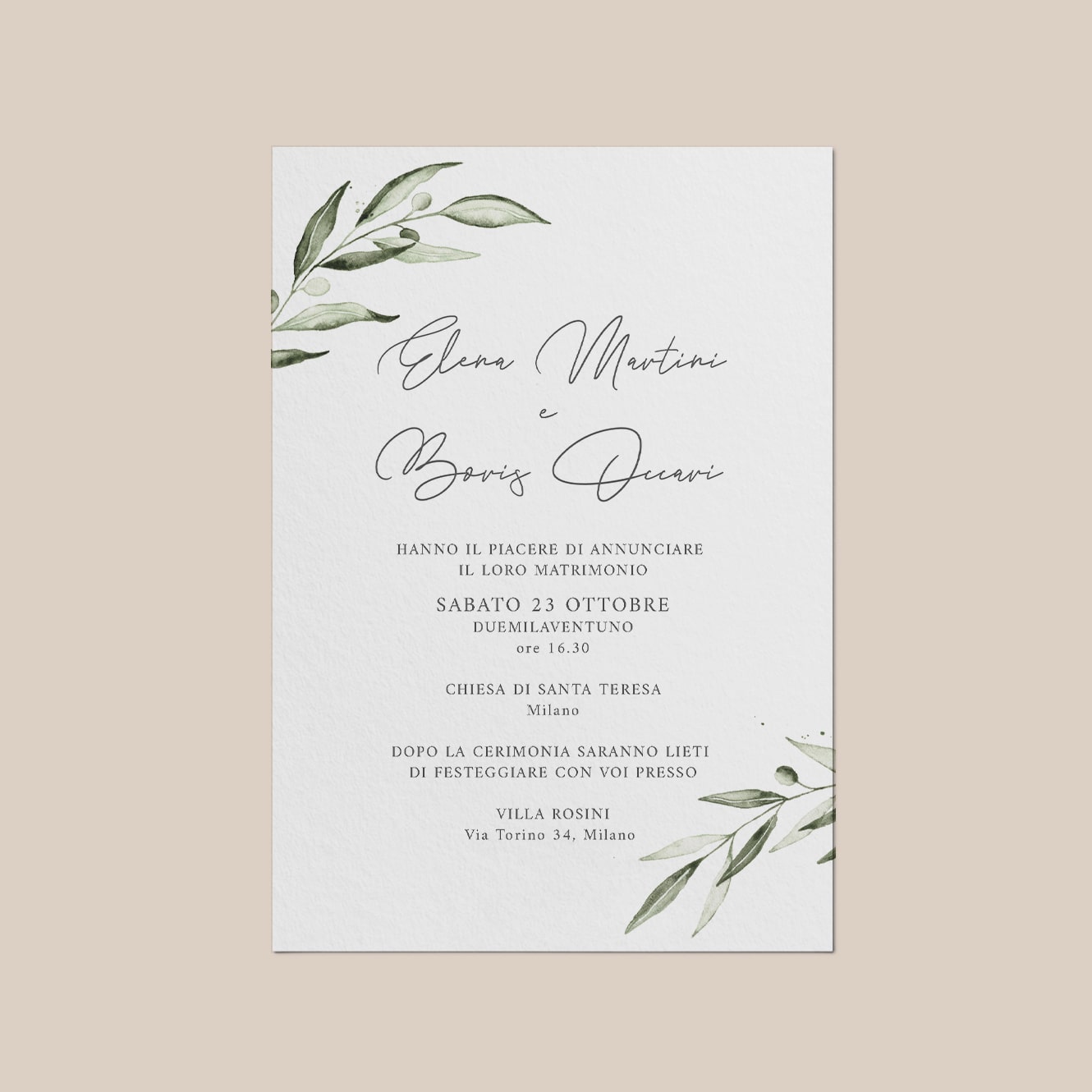 Lucca model wedding invitations elegant olive leaf wedding suite coordinated graphics unique invitation